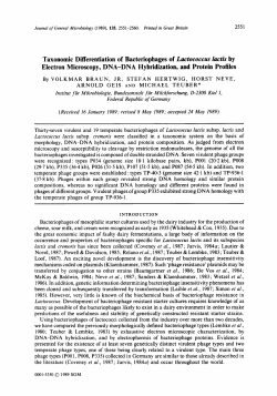 Taxonomic Differentiation of Bacteriophages of