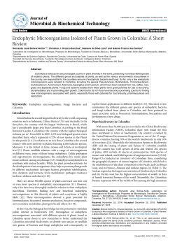 Endophytic Microorganisms Isolated of Plants Grown in Colombia: A
