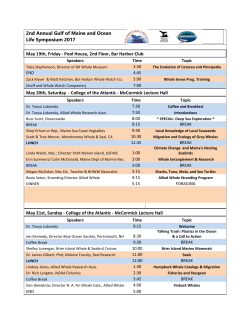 schedule of events - Bar Harbor Whale Watching Tours