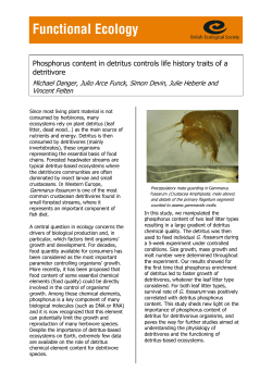 Phosphorus content in detritus controls life history traits of a detritivore