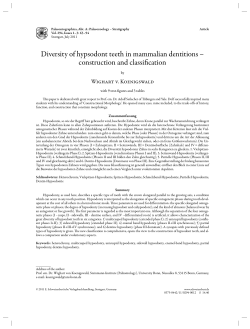 Diversity of hypsodont teeth in mammalian dentitions