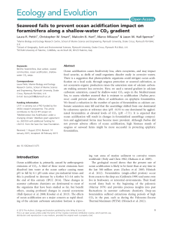 Seaweed fails to prevent ocean acidification impact on foraminifera