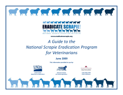 A Guide to the National Scrapie Eradication