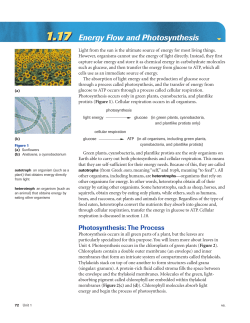 eText 1.17 - gooyers3cbiology