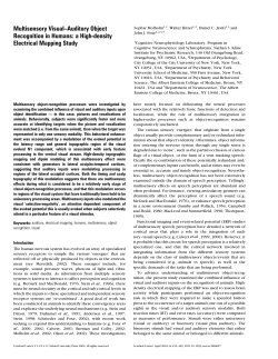 Multisensory Visual&ndash;Auditory Object Recognition in Humans: a High