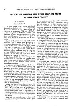 history of mangos and other tropical fruits in palm beach county