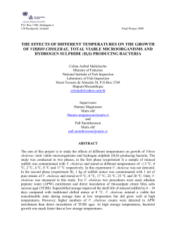 The effect of different temperatures on the growth of - UNU-FTP
