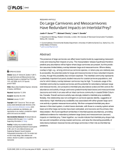 Do Large Carnivores and Mesocarnivores Have Redundant