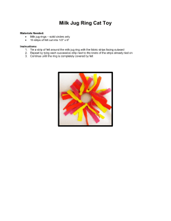 Milk Jug Ring Cat Toy
