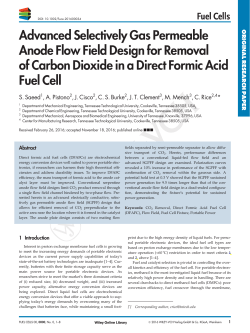 Advanced Selectively Gas Permeable Anode Flow Field Design for