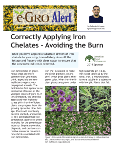 Correctly Applying Iron Chelates - e-GRO