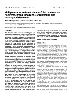 Multiple conformational states of the