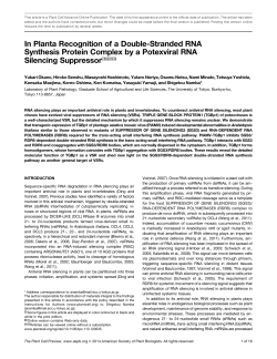 In Planta Recognition of a Double-Stranded RNA Synthesis Protein