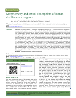 Morphometry and sexual dimor skullforamen magnum