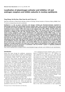 Localization of plasminogen activator and inhibitor, LH and