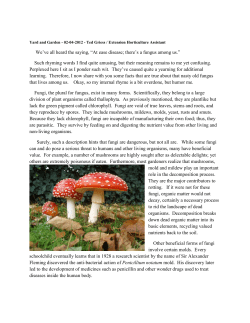 Fungus Among Us - Nebraska Extension