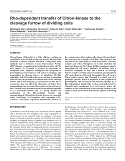Active Rho mobilizes Citron-K in cytokinesis