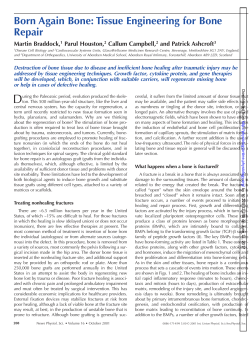 Born Again Bone: Tissue Engineering for Bone Repair
