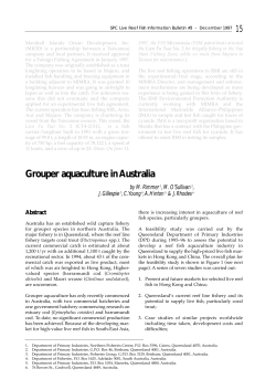 Grouper aquaculture in Australia