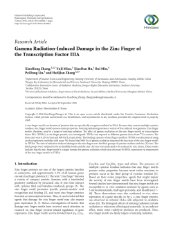 Gamma Radiation-Induced Damage in the Zinc Finger of the