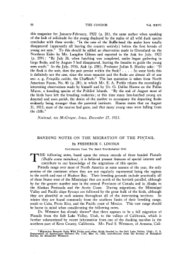 Banding Notes on the Migration of the Pintail