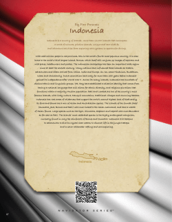 Indonesia - Big Five Tours