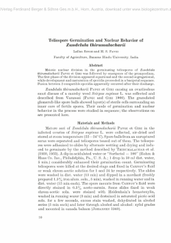 Teliospore Germination and Nuclear Behavior of