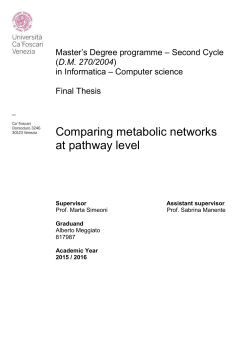 Comparing metabolic networks at pathway level