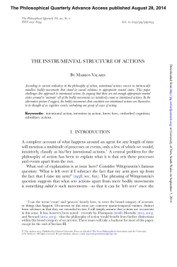 the instrumental structure of actions