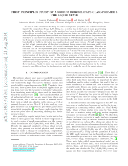 First principles study of a sodium borosilicate glass
