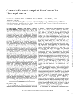 Comparative Electrotonic Analysis of Three Classes of Rat