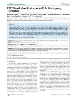 FRET-Based Identification of mRNAs Undergoing Translation