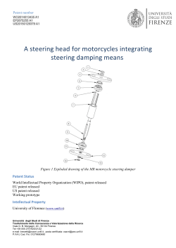 A steering head for motorcycles integrating steering damping means
