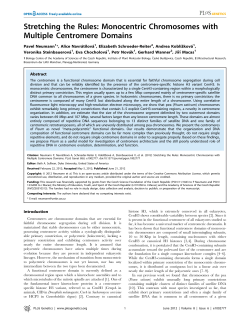 Monocentric Chromosomes with Multiple Centromere Domains