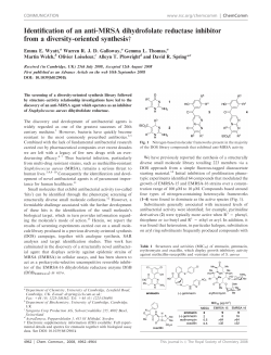 Identification of an anti-MRSA dihydrofolate