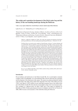 The origin and vegetation development of the Rejv&iacute;z pine