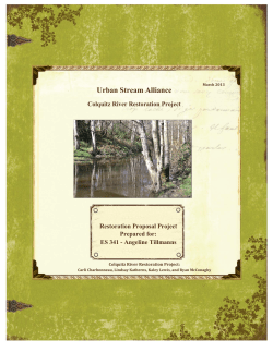 Colquitz River Restoration Spring 2013