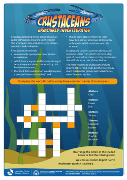 File - Ocean Stars Marine Education