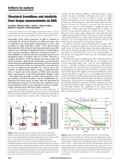 Structural transitions and elasticity from torque measurements on DNA