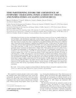 Time partitioning favors the coexistence of