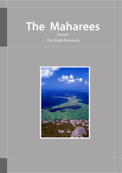 The Maharees - Spillane`s Bar