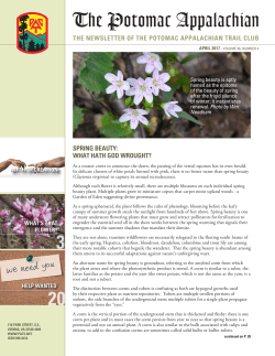 SPRING BEAUTY: WHAT HATH GOD WROUGHT? THE