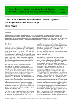 Aerial roots of tropical rain forest trees: the