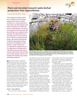 Plant and microbial research seeks biofuel production from