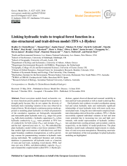 Linking hydraulic traits to tropical forest function in a size