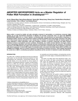 ABORTED MICROSPORES Acts as a Master Regulator of Pollen