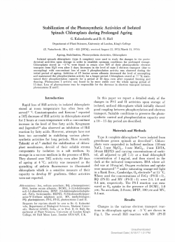 Stabilization of the Photosynthetic Activities of Isolated