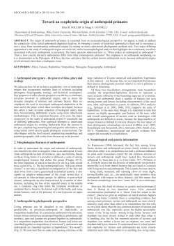 Toward an ecophyletic origin of anthropoid primates