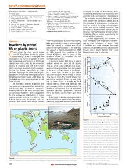 25.4 layout mx - Case Inlet Shoreline Association