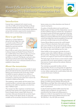 Mount Fyffe and the Seaward Kaikoura Range